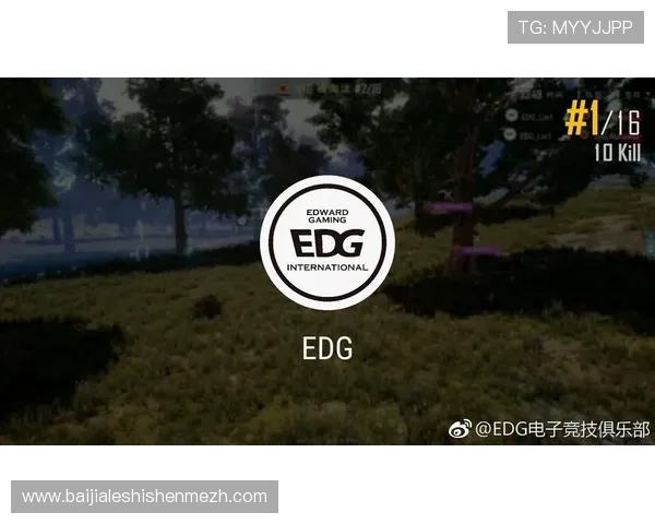 DG视讯游戏界面设计与操作体验优化提升玩家的整体满意度