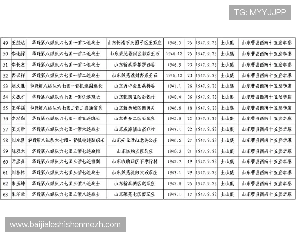 多宝真人网页版登录流程详解，帮助玩家顺利进入游戏享受精彩对战